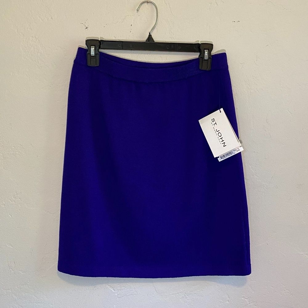 St John Collection Amethyst Skirt  by Marie Gray Skirt